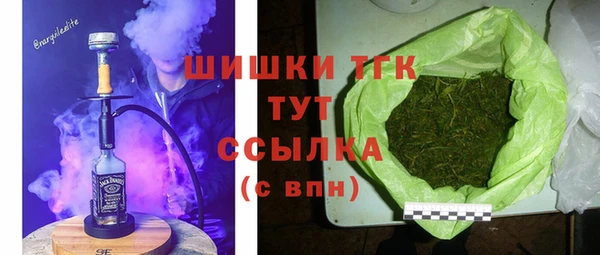 тгк Армянск