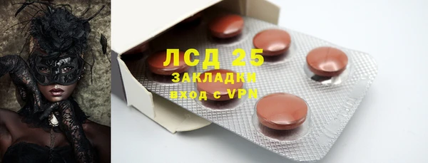 прущие грибы Арсеньев