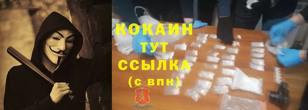 прущие грибы Арсеньев