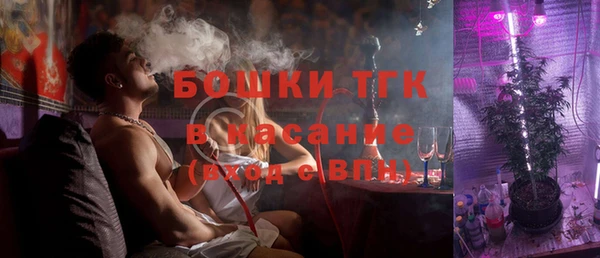 прущие грибы Арсеньев