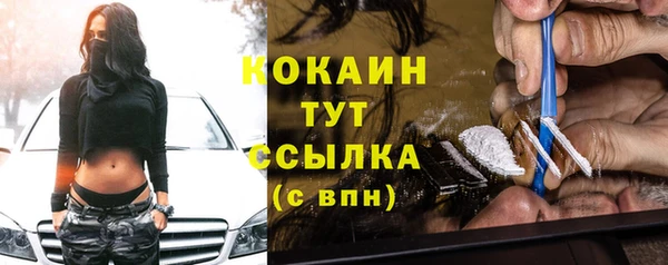 прущие грибы Арсеньев