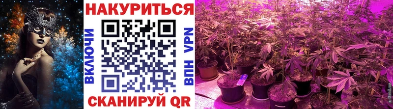 Марихуана Bruce Banner Купить закладки Кисловодск